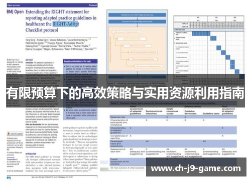 有限预算下的高效策略与实用资源利用指南 有限预算下的高效策略与实用资源利用指南